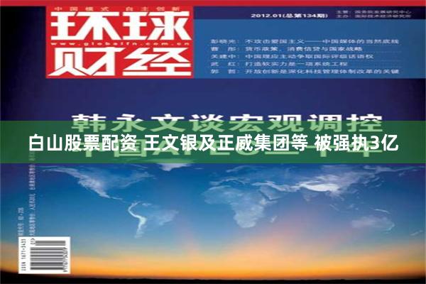 白山股票配资 王文银及正威集团等 被强执3亿