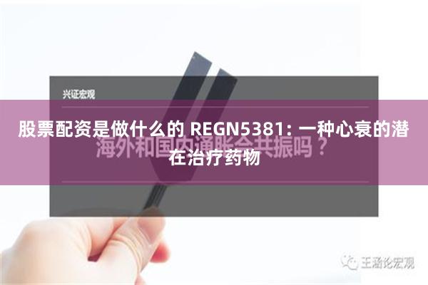 股票配资是做什么的 REGN5381: 一种心衰的潜在治疗药物