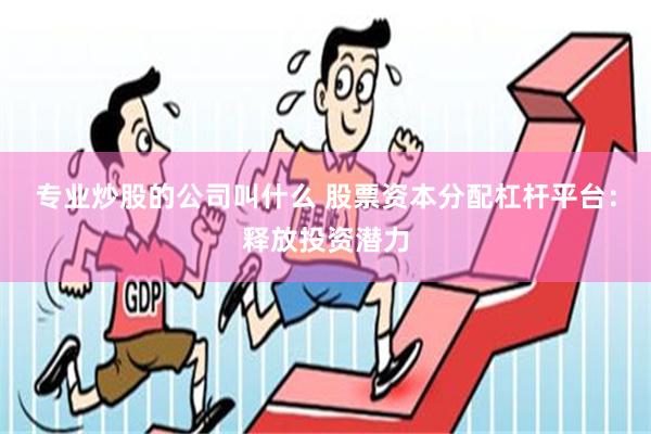 专业炒股的公司叫什么 股票资本分配杠杆平台：释放投资潜力