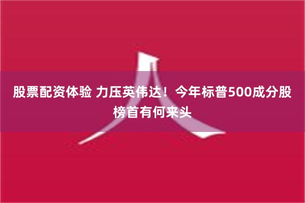 股票配资体验 力压英伟达！今年标普500成分股榜首有何来头