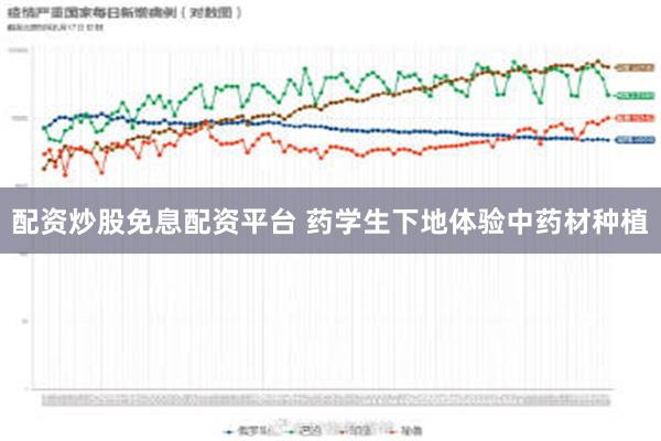 配资炒股免息配资平台 药学生下地体验中药材种植