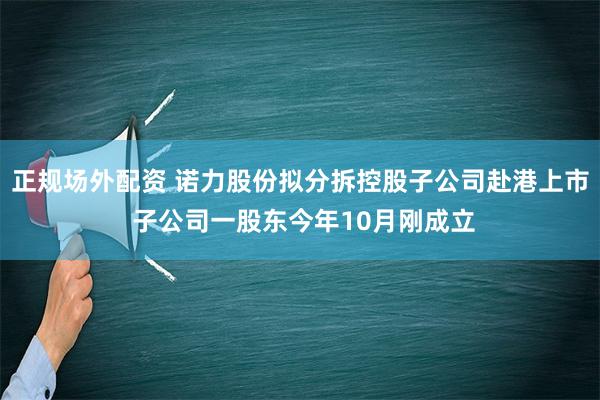 正规场外配资 诺力股份拟分拆控股子公司赴港上市 子公司一股东今年10月刚成立