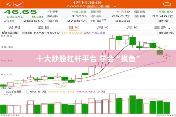 十大炒股杠杆平台 学会“摸鱼”