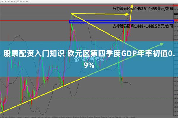 股票配资入门知识 欧元区第四季度GDP年率初值0.9%