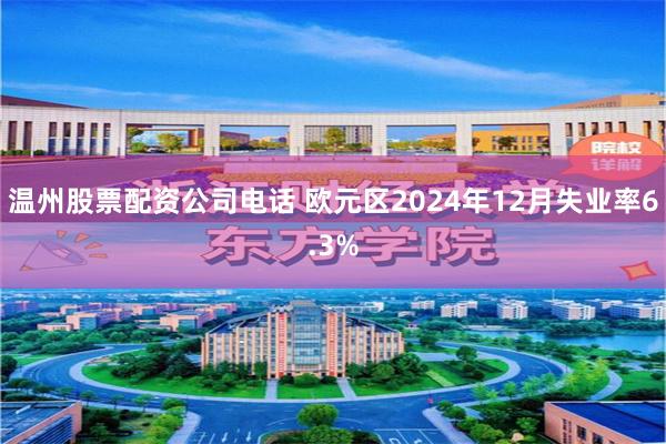 温州股票配资公司电话 欧元区2024年12月失业率6.3%